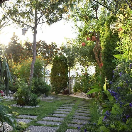 Five Stars In * Tríkala