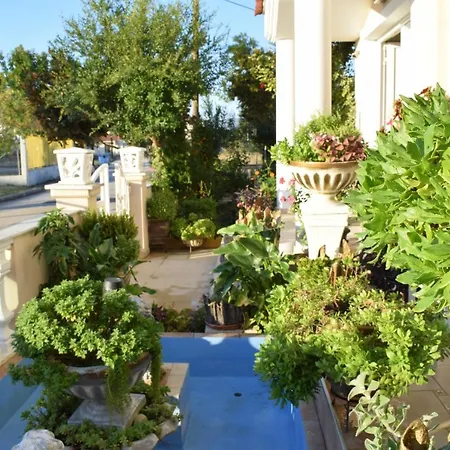 Five Stars In * Trikala (Thessaly)