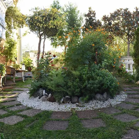 Five Stars In דירה