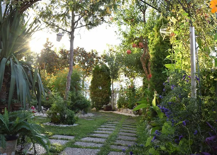 Five Stars In * Tríkala