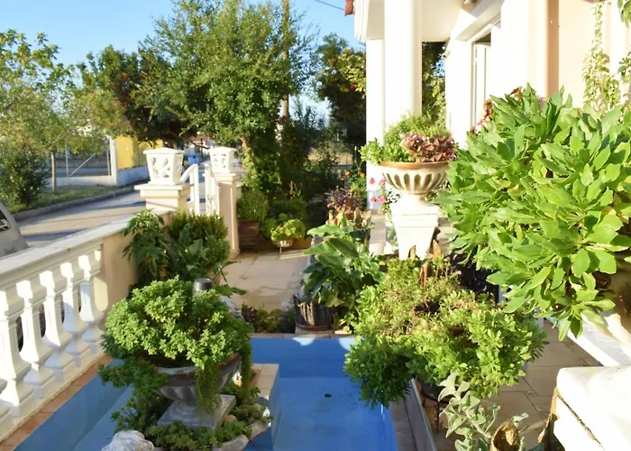 Five Stars In * Tríkala